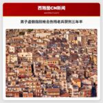 男子虚假指控枪击伤残老兵获刑三年半