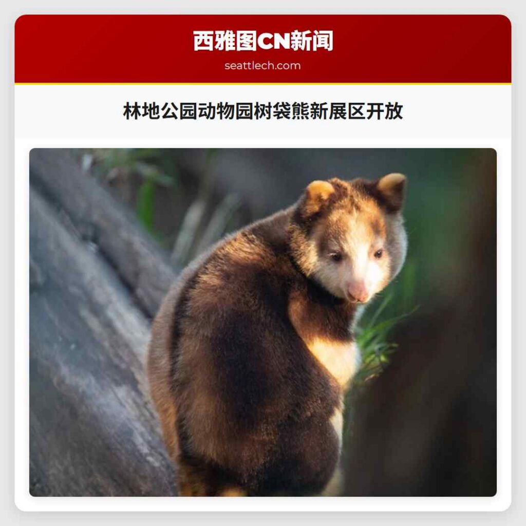 林地公园动物园树袋熊新展区开放