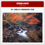 周一清晨530 揭秘幽灵刷卡诈骗