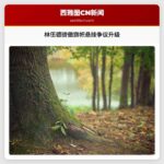 林伍德骄傲旗帜悬挂争议升级