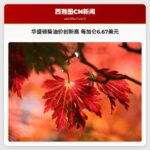 华盛顿柴油价格刷新历史纪录