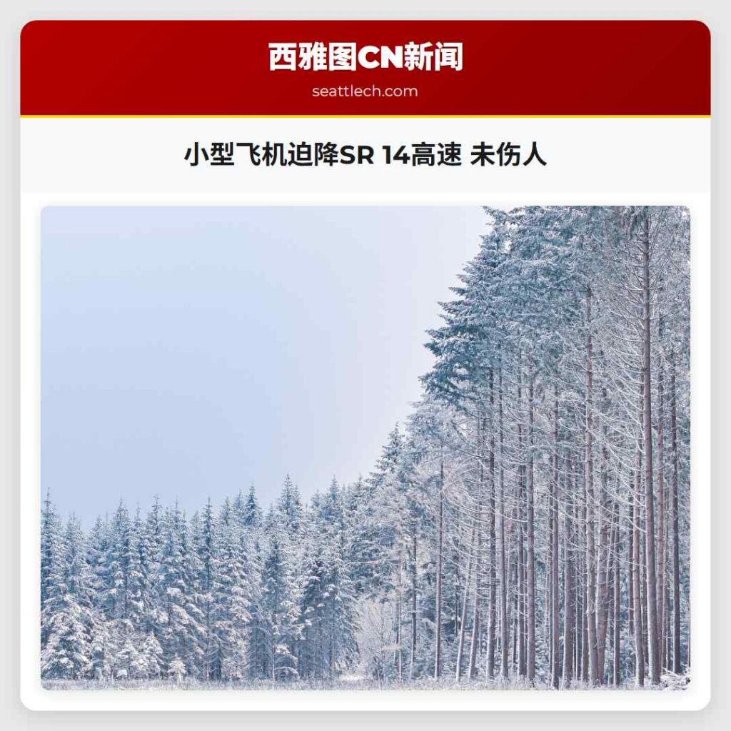 小型飞机迫降SR 14高速 未伤人