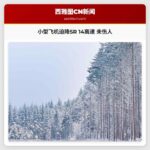 小型飞机迫降SR 14高速 未伤人