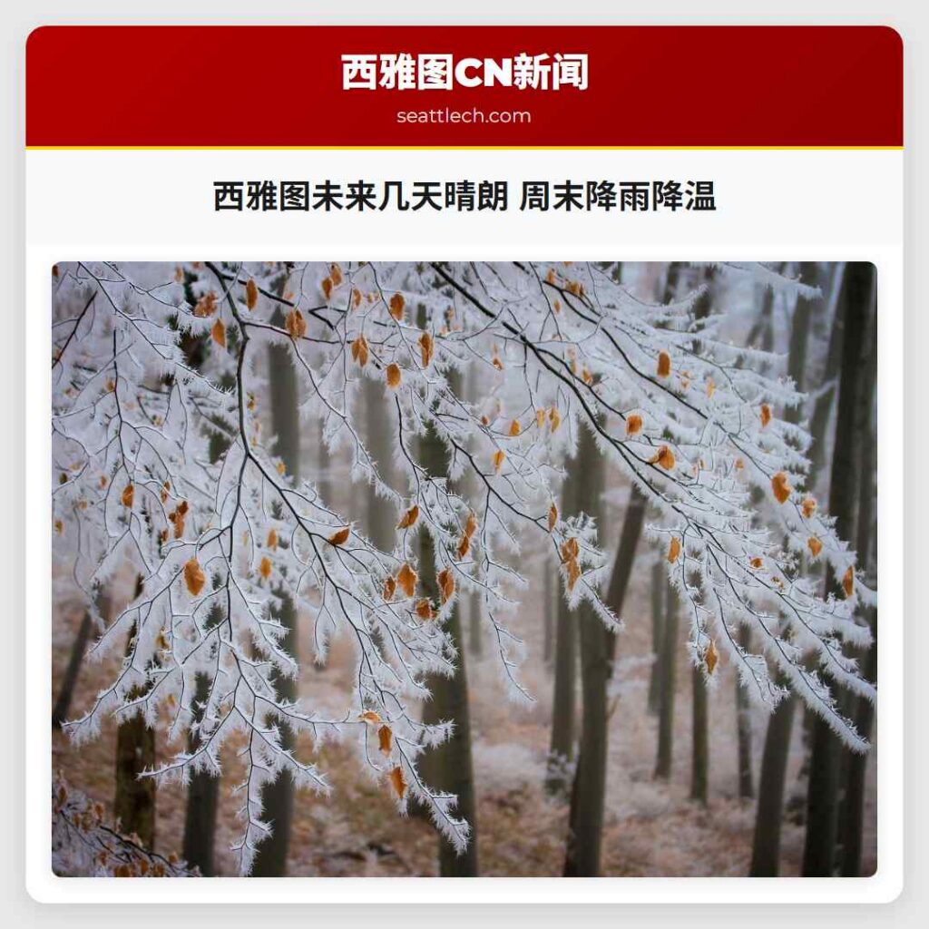 西雅图未来几天晴朗 周末降雨降温