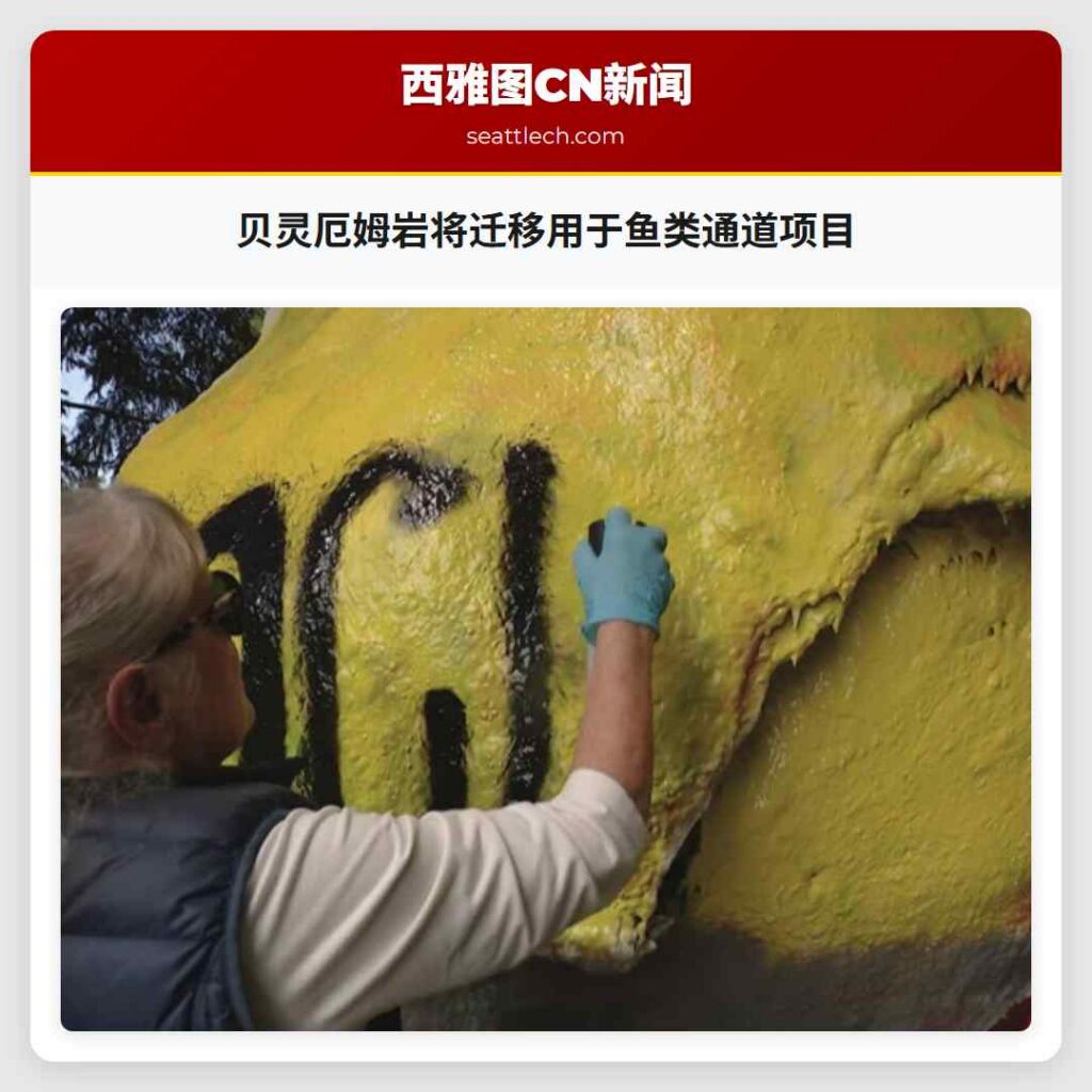 贝灵厄姆岩将迁移用于鱼类通道项目