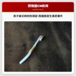 男子被牙刷刺伤颈部 西雅图阿利海滩附近发生离奇事件