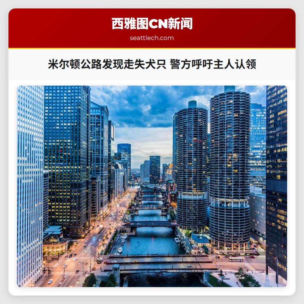 米尔顿公路发现走失犬只 警方呼吁主人认领