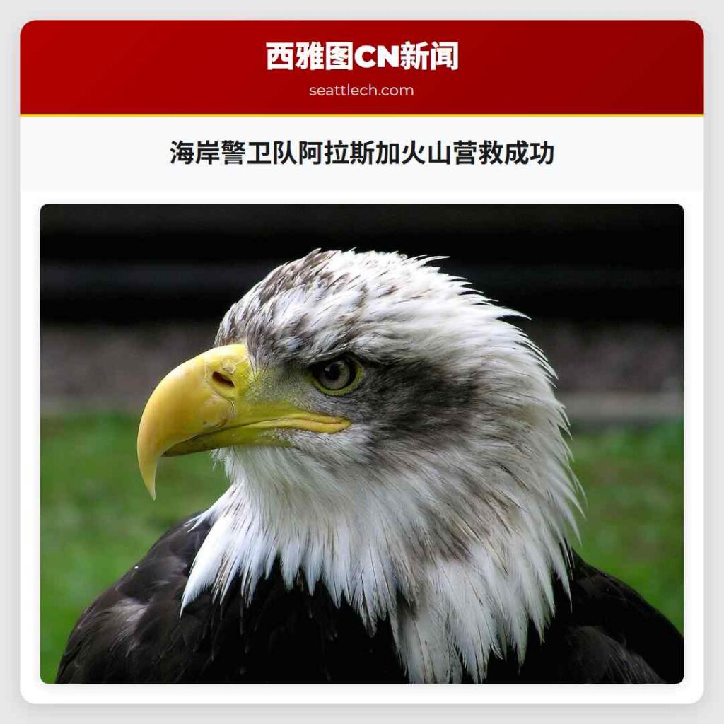 海岸警卫队阿拉斯加火山营救成功