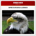 海岸警卫队阿拉斯加火山营救成功