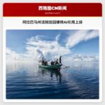 阿拉巴马州法院驳回律师AI引用上诉