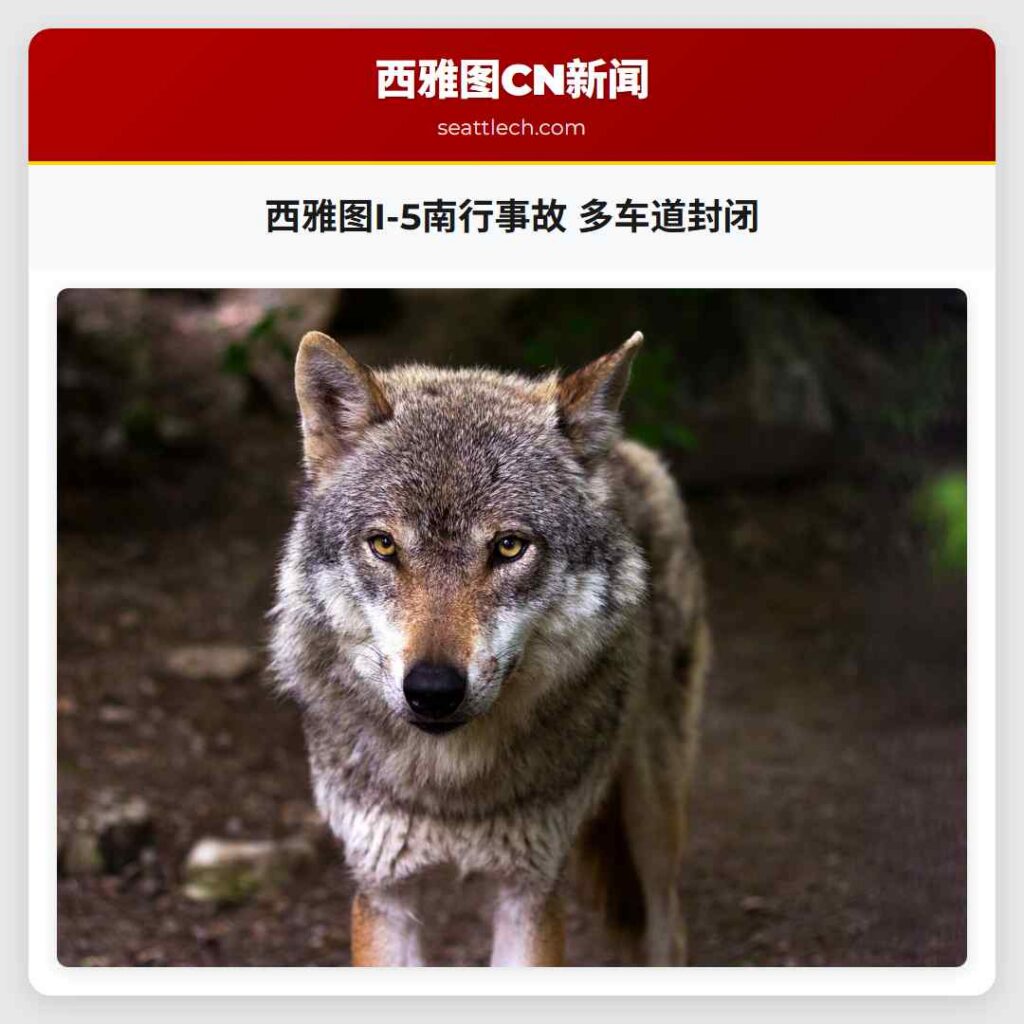 西雅图I-5南行事故 多车道封闭