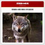 西雅图I-5南行事故 多车道封闭