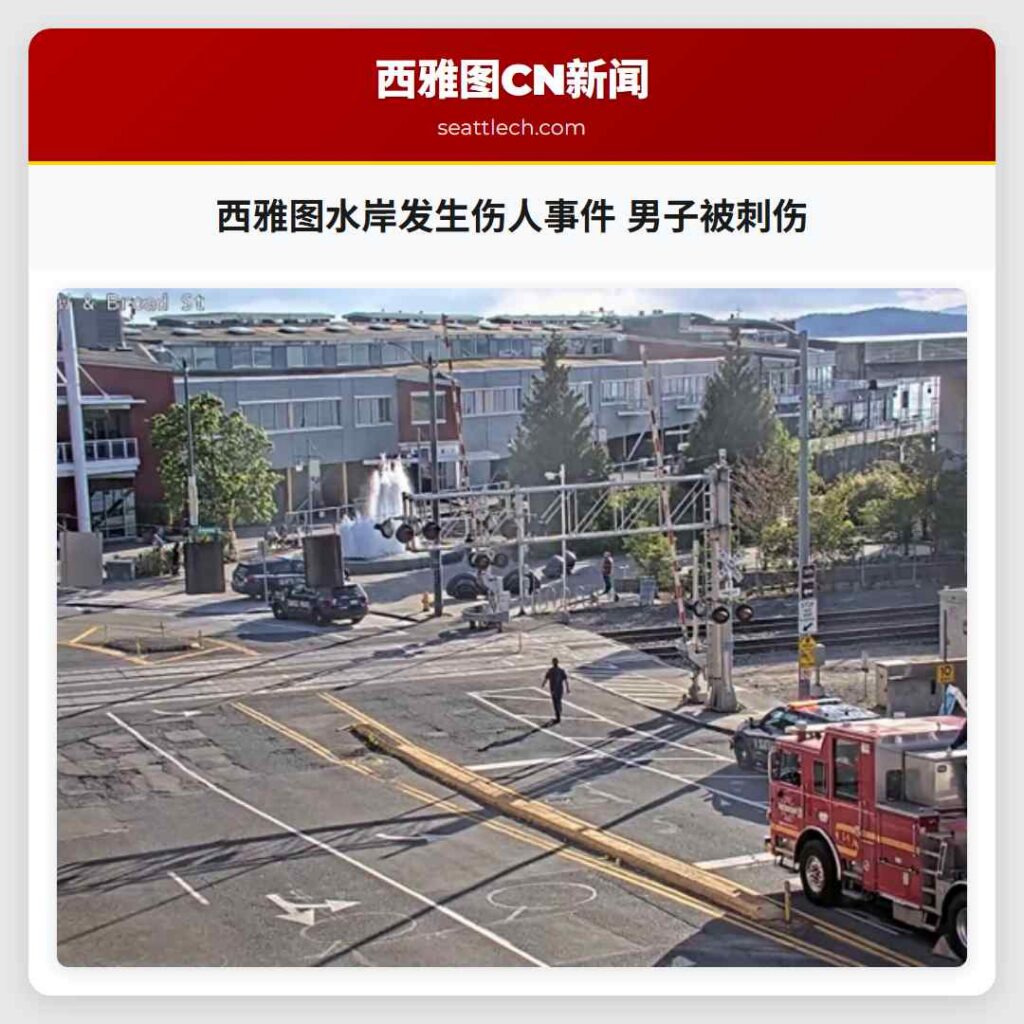 西雅图水岸发生伤人事件 男子被刺伤