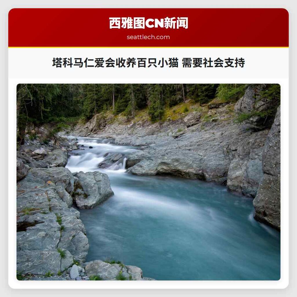 塔科马仁爱会收养百只小猫 需要社会支持