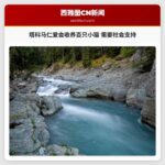 塔科马仁爱会收养百只小猫 需要社会支持