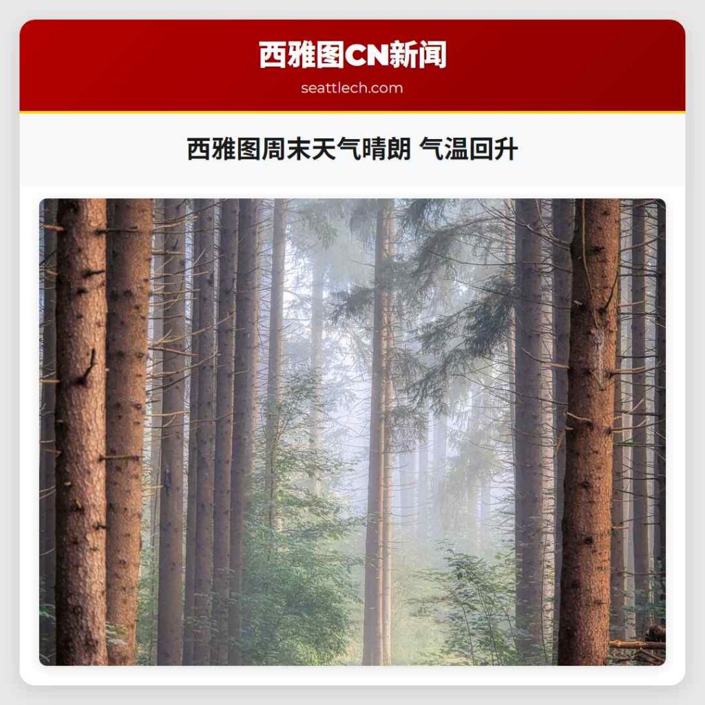 西雅图周末天气晴朗 气温回升