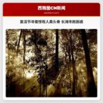 复活节寻蛋惊现人类头骨，长滩市民陷入困惑