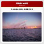 健康警示：恐龙造型冷冻鸡块或含铅超标