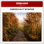 华盛顿古梅斯岛海滩惊现20具犬尸，警方展开调查