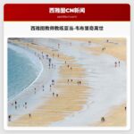 西雅图教师教练亚当·韦布里奇离世