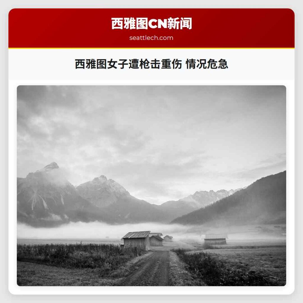 西雅图女子遭枪击重伤 情况危急