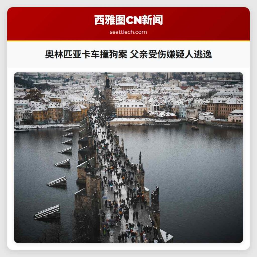 奥林匹亚卡车撞狗案 父亲受伤嫌疑人逃逸