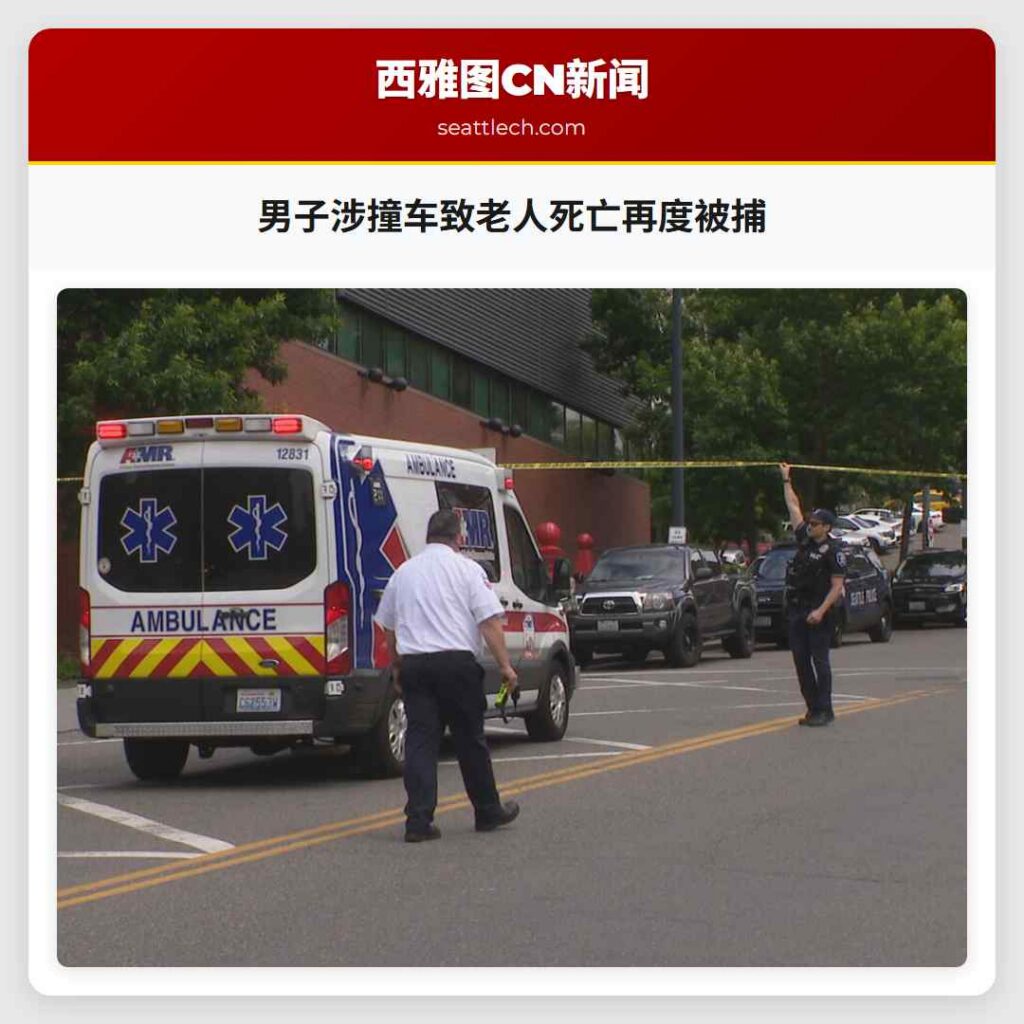 男子涉撞车致老人死亡再度被捕