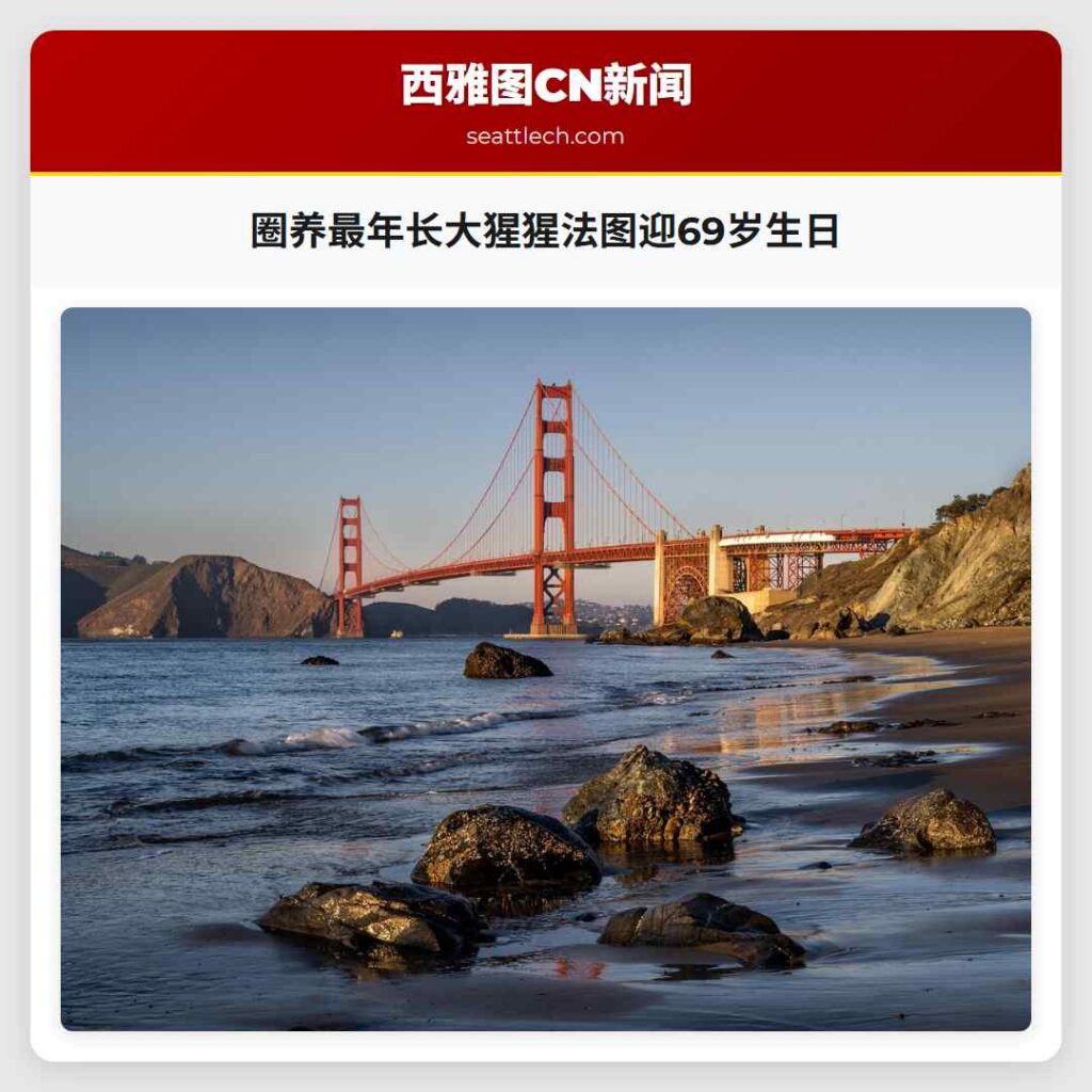 圈养最年长大猩猩法图迎69岁生日