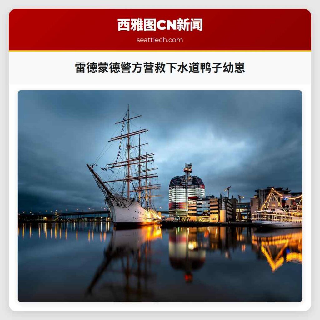 雷德蒙德警方营救下水道鸭子幼崽