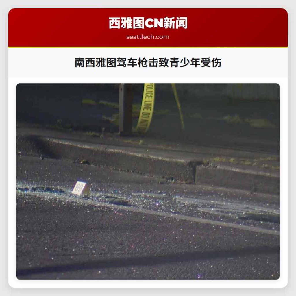 南西雅图驾车枪击致青少年受伤