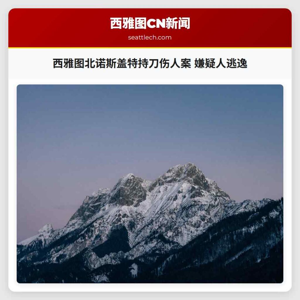 西雅图北诺斯盖特持刀伤人案 嫌疑人逃逸