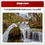 什么科县动物庇护所参与全国性24小时Slumber Pawty筹款活动