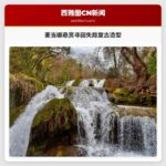 麦当娜悬赏寻回失踪复古造型