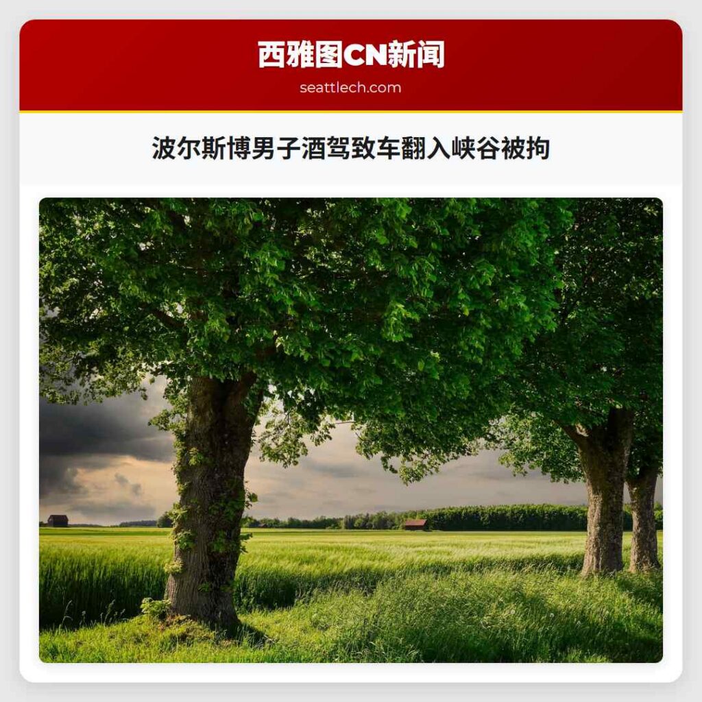 波尔斯博男子酒驾致车翻入峡谷被拘