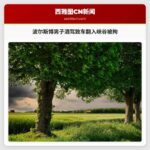 波尔斯博男子酒驾致车翻入峡谷被拘