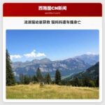 流浪猫幼崽获救 猫妈妈遭车撞身亡