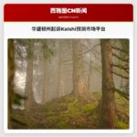 华盛顿州总检察长详解起诉Kalshi等预测市场平台原因