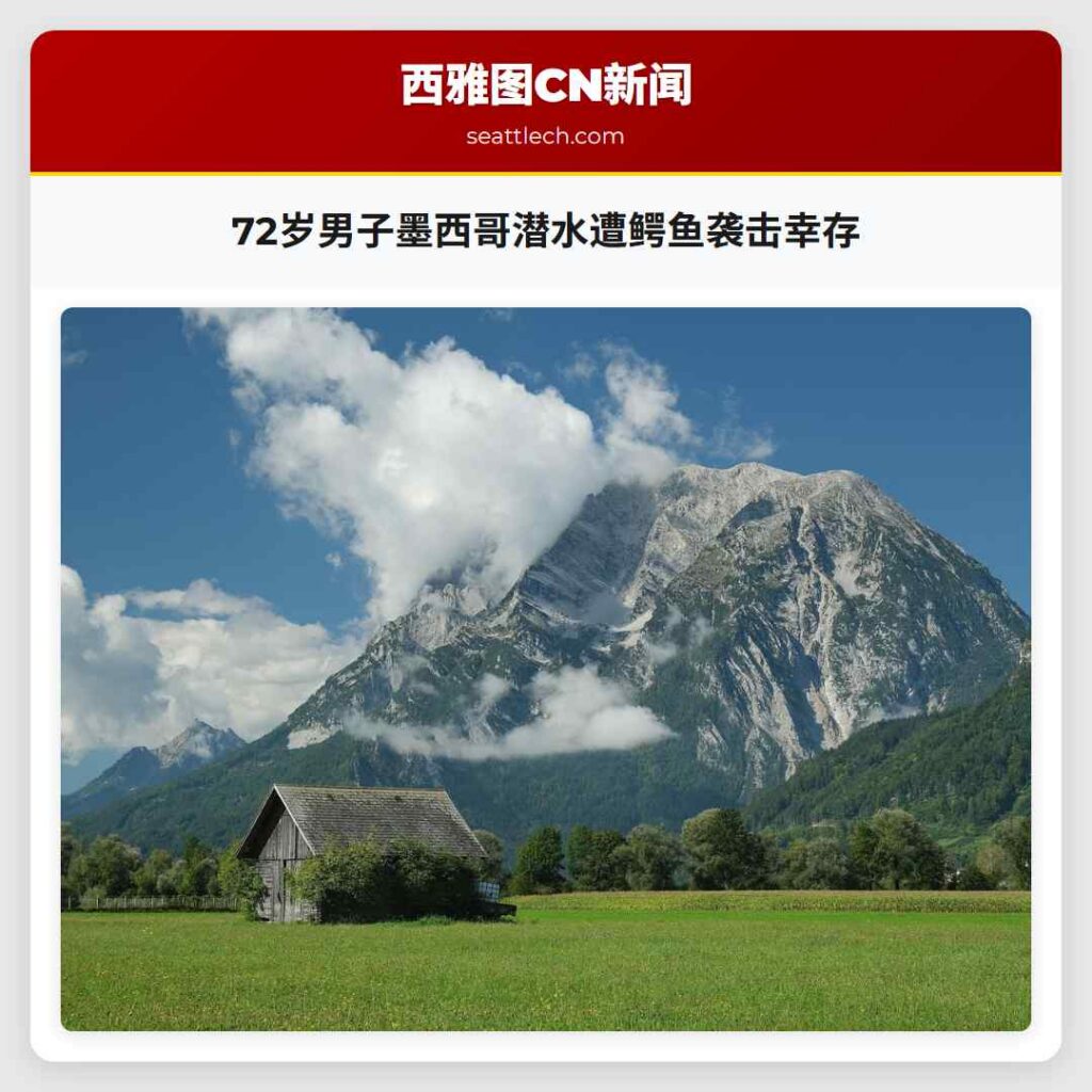 72岁男子墨西哥潜水遭鳄鱼袭击幸存