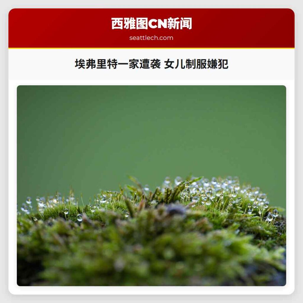 埃弗里特一家遭袭 女儿制服嫌犯