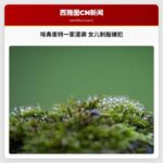 埃弗里特一家遭袭 女儿制服嫌犯