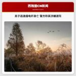 男子逃逸撞电杆身亡 警方称其涉嫌酒驾