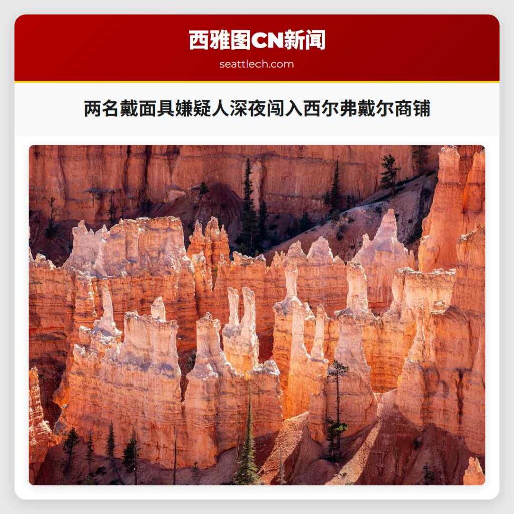 两名戴面具嫌疑人深夜闯入西尔弗戴尔商铺