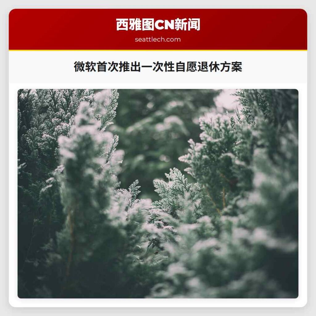 微软首次推出一次性自愿退休方案