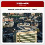 警方通缉暴力袭击派尼尔广场工作人员的危险男子