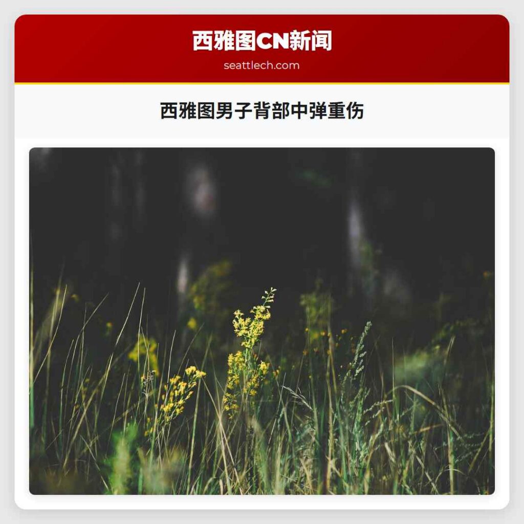 西雅图男子背部中弹重伤