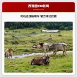 司机试图逃逸却陷入堵车 警方成功拦截