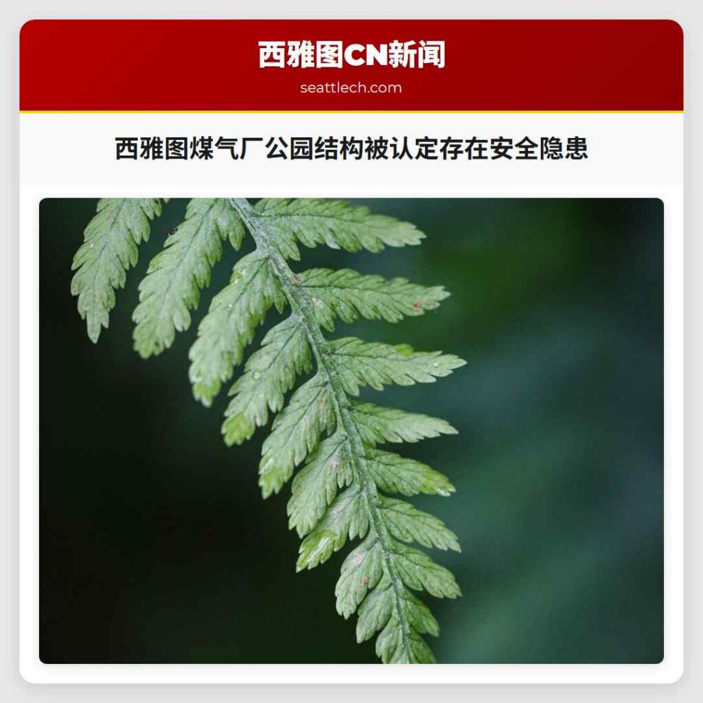 西雅图煤气厂公园结构被认定存在安全隐患