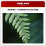 西雅图煤气厂公园结构被认定存在安全隐患