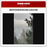 暴雨中班布里奇岛附近确认出现水龙卷