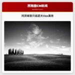 阿灵顿首只巡逻犬Oso离世